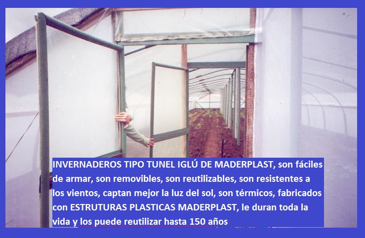 invernadero tipo túnel invernaderos iglú en madera plástica maderplast invernadero de cuarentena invernadero climatización invernadero calentamiento enfriamiento congelación secado congelar 008 invernadero tipo túnel invernaderos iglú en madera plástica maderplast invernadero de cuarentena invernadero climatización invernadero calentamiento enfriamiento congelación secado congelar 008